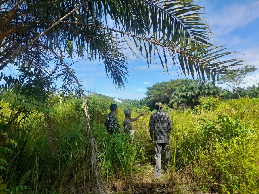 Cegah Kebakaran Lahan, Anggota Koramil 01/Bangko Turun Langsung Pantau Area Rawan