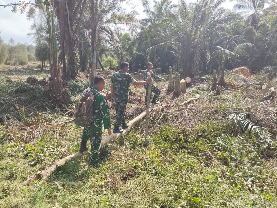 Cegah Kebakaran Lahan, Babinsa Koramil 01/Bangko Gencarkan Patroli di Rohil