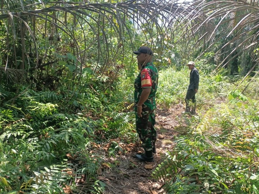 Cegah Kebakaran Lahan, Babinsa Tanjung Leban Rutin Lakukan Patroli