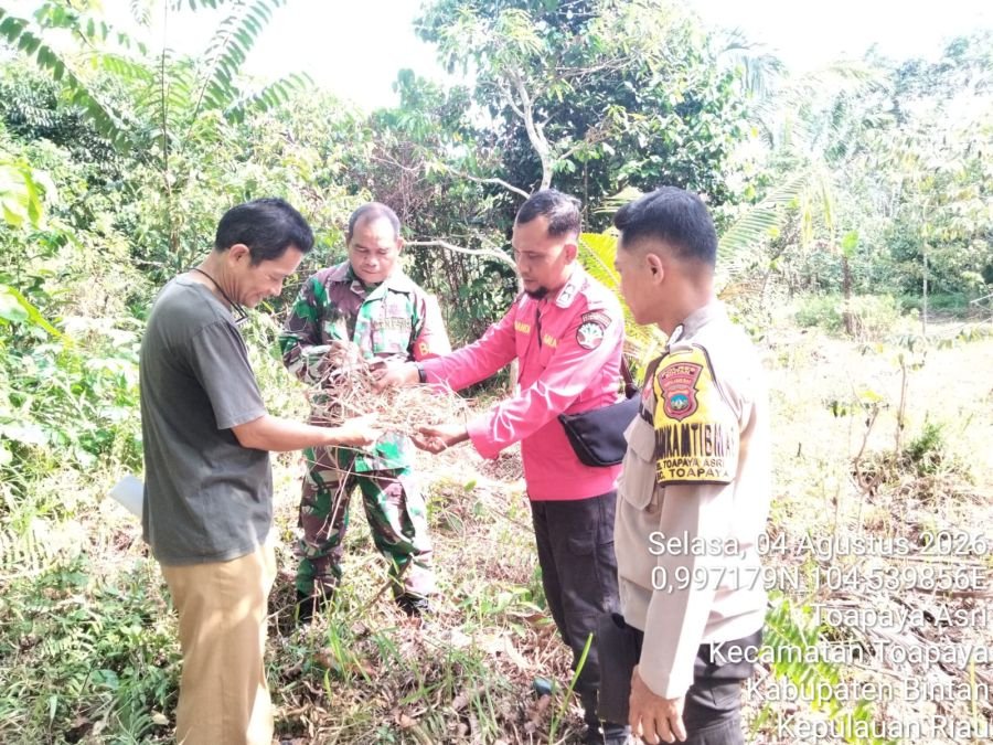 Cegah Kerusakan Lingkungan, Babinsa Toapaya Utara Laksanakan Patroli Terpadu Bersama KLHK.