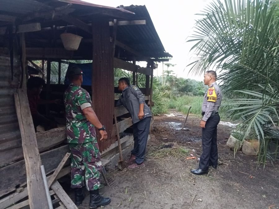 Cegah PMK Sejak Dini, Serma Nurmin Dampingi Tim URC Berikan Vitamin Ternak Warga di Kampung Sialang