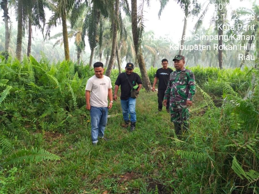 Cegah Titik Api, Babinsa Koramil 0321-03/Bgs Rohil dan Warga Sinergi Patroli Karhutla 