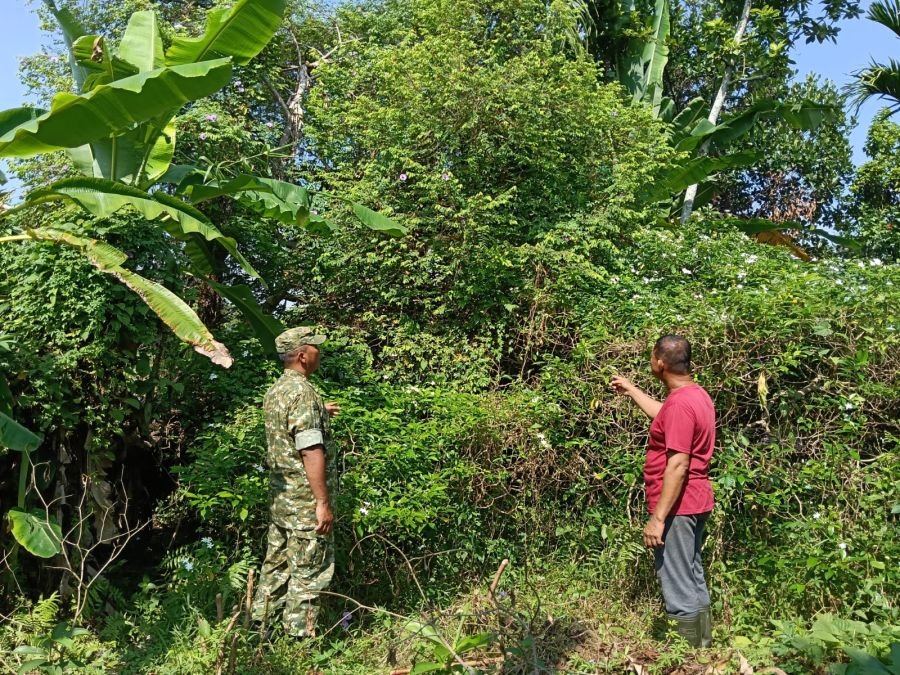 Cuaca Panas Meningkat, Koramil 06/Sukajadi Perketat Patroli Cegah Karhutla di Sungai Sibam