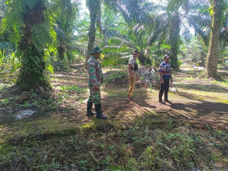 Cuaca Terik, Babinsa dan Warga Perkuat Patroli Cegah Karhutla di Sungai Linau