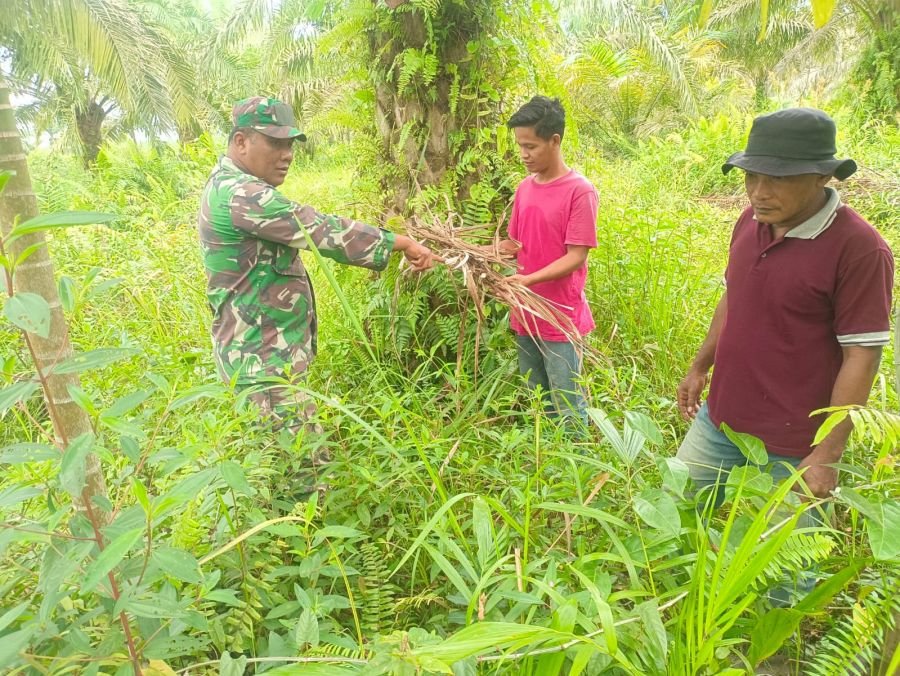 Cuaca Terik Tak Jadi Penghalang, Babinsa Koramil 05/Bukit Batu Tetap Patroli Cegah Karhutla