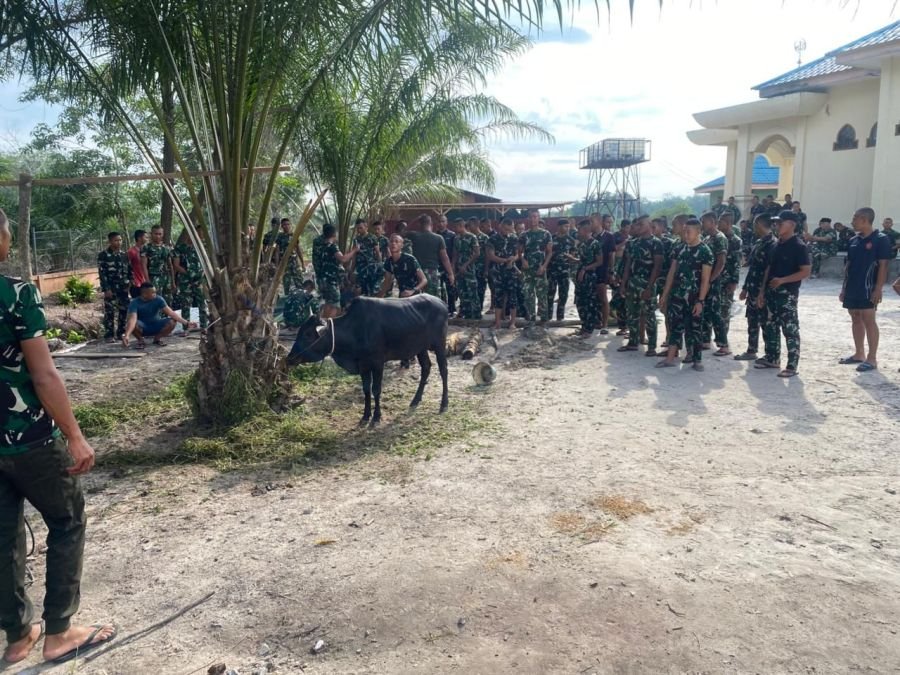 dalam rangka hari raya idul adha yonif tp 952/ib mengadakan acara pemotongan hewan kurban