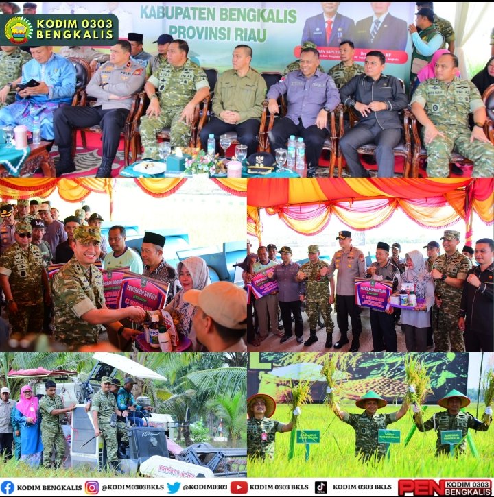 Dandim 0303/Bengkalis: Sawah Harus Tetap Hidup, Ketahanan Pangan Dimulai dari Tangan Petani