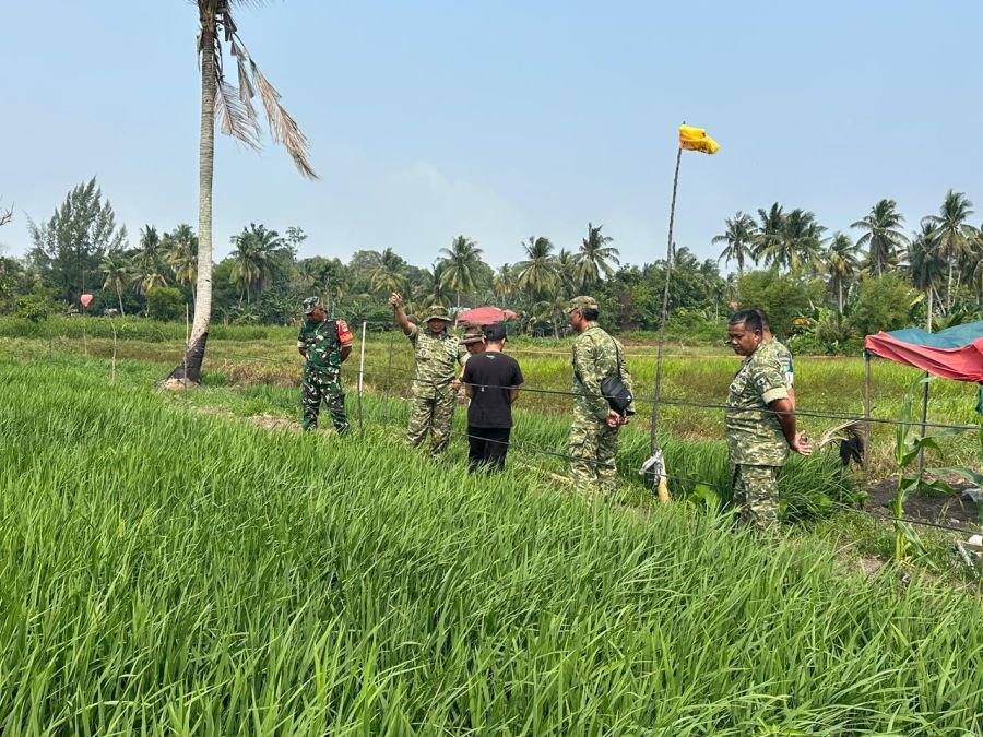Dandim 0317/TBK Bidik Pangke Jadi Penggerak Ketahanan Pangan Karimun