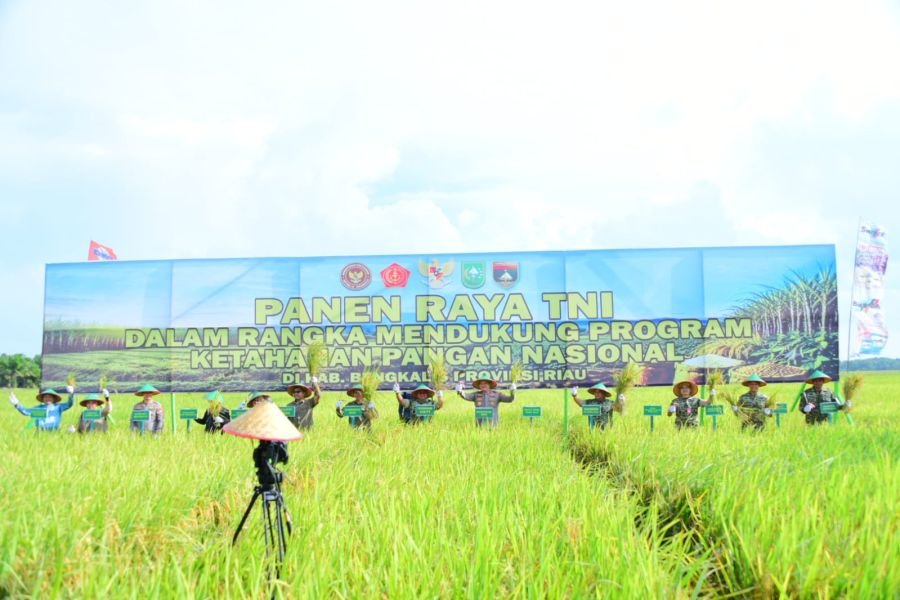 Dandim 0322/Siak Hadiri Panen Raya TNI Dukung Program Ketahanan Pangan Nasional di Bengkalis.