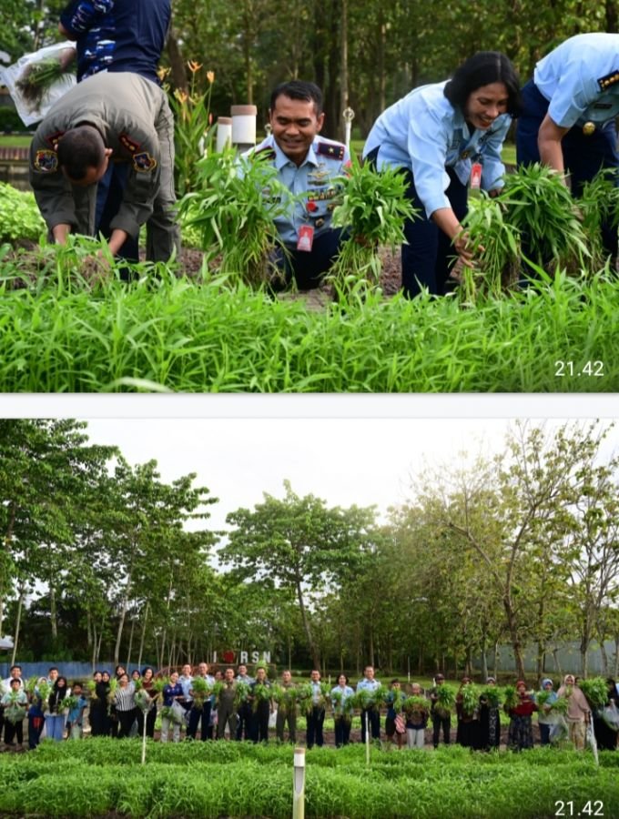 Danlanud Roesmin Nurjadin Panen Sayur Bersama Masyarakat,  di Tengah Musim Hujan