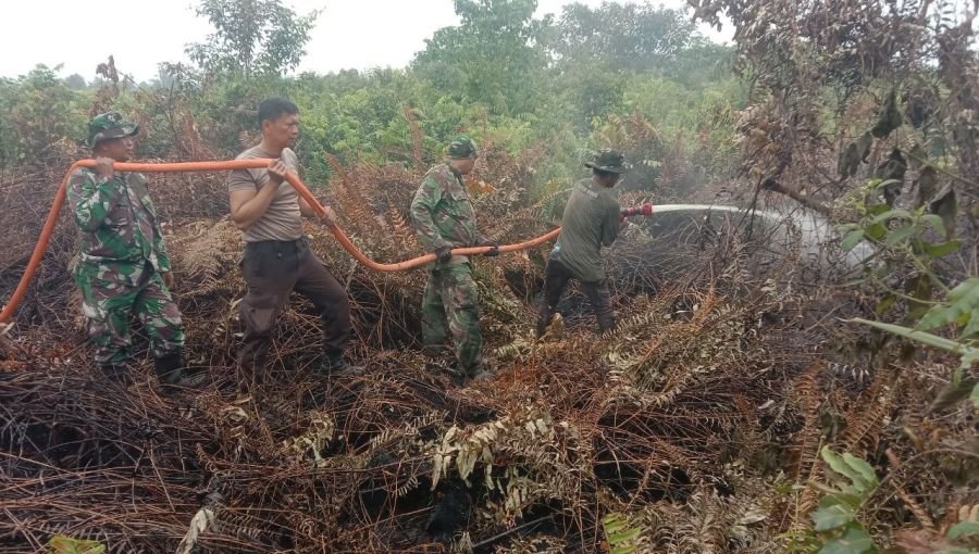 Danramil 03/Senapelan Pimpin Pemadaman Karhutla di Bandarraya