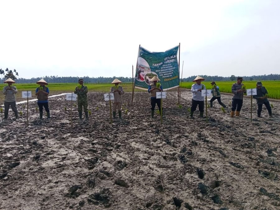 Danramil 09/Kemuning Hadiri Gerakan Tanam Serempak, Dukung Swasembada Pangan