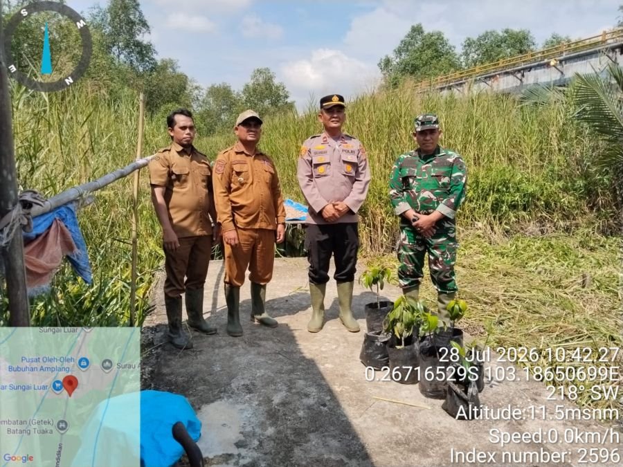 Danramil 12/Batang Tuaka Hadiri Penanaman Mangrove di Desa Sungai Luar