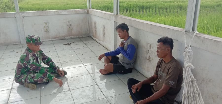 Dekat dengan Petani, Babinsa Koramil 07/Reteh  Pantau Panen Padi di Wilayah Binaan