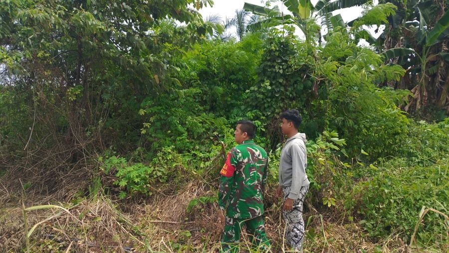 Deteksi Dini Karhutla, Babinsa Delima Turun Langsung Pantau Lahan Rawan