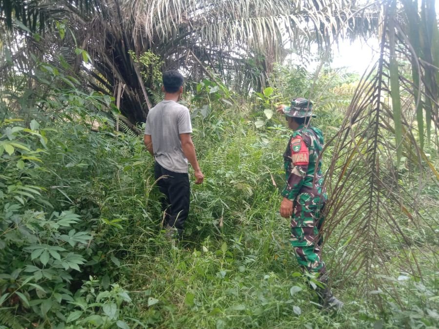 Deteksi Dini Karhutla, Babinsa Koramil 08/Rumbai Barat Sisir Wilayah Agrowisata