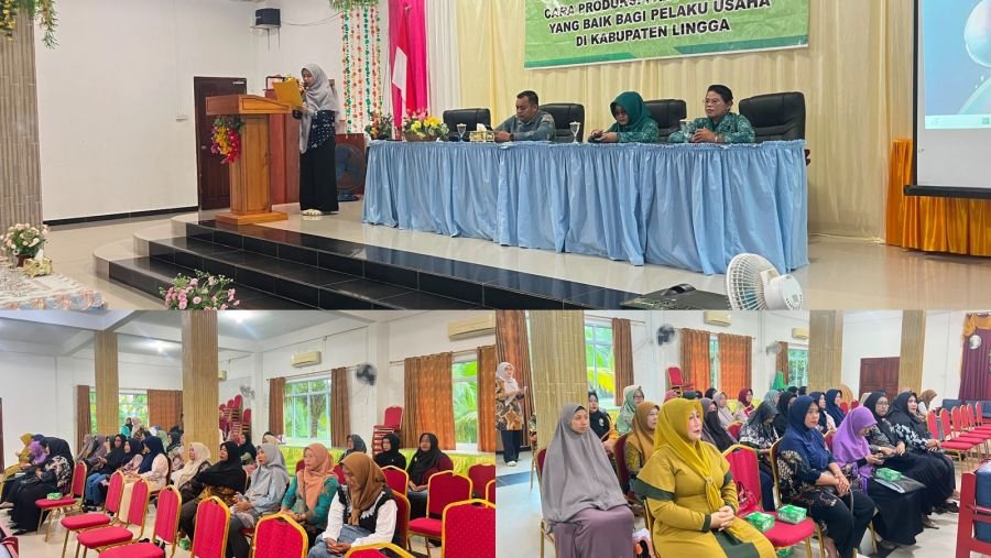 Dinkes Lingga Tingkatkan Kualitas Produk UMKM Pangan Melalui Bimtek CPPOB