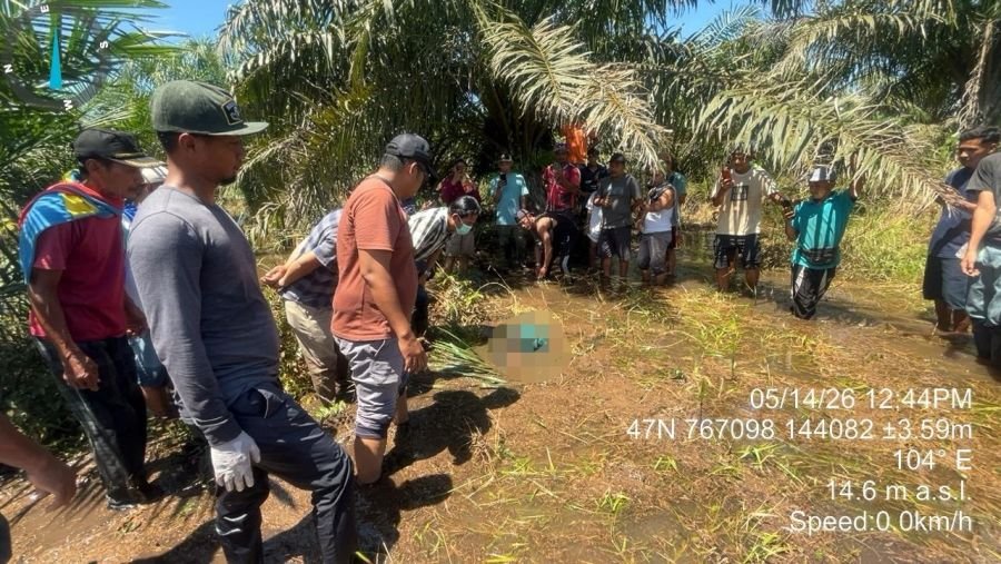 Ditemukan Jenazah Laki-Laki Tak Dikenal di Kebun Sawit Tergenang Air Desa Bathin Betuah
