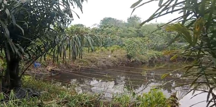 DPP APPI dan DPP Santri Tani NU kolaborasi Wujudkan Ketahanan Pangan di Riau