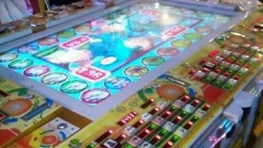 Dugaan Judi Berkedok Gelper Marak, Korda Riau BEM SI Kerakyatan Meldianto : APH jangan tutup mata