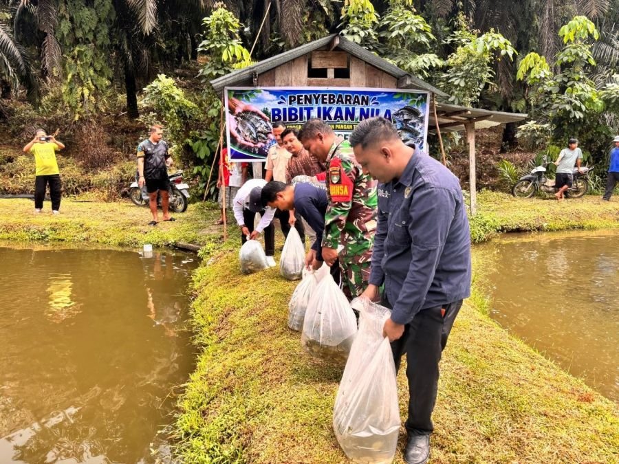 Dukung Ekonomi Warga, Babinsa Koptu Widodo Sinaga Dampingi Tebar Bibit Ikan