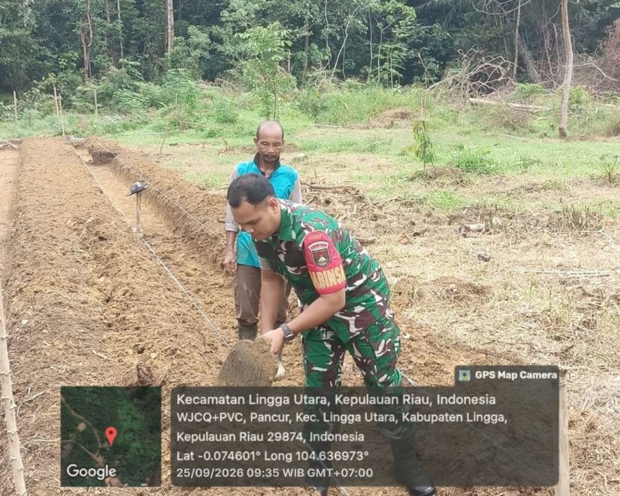 Dukung Ketahanan Pangan, Babinsa Koramil 05/Daik Sambangi Warga Pembuat Bedengan Sayur di Pancur