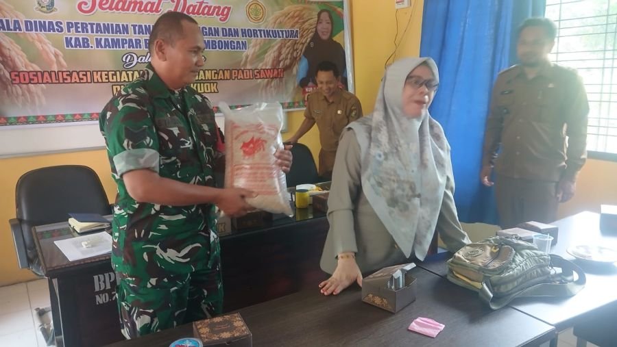 Dukung Ketahanan Pangan, Babinsa Koramil 01 Bangkinang Hadiri Sosialisasi Pengembangan Padi Sawah di