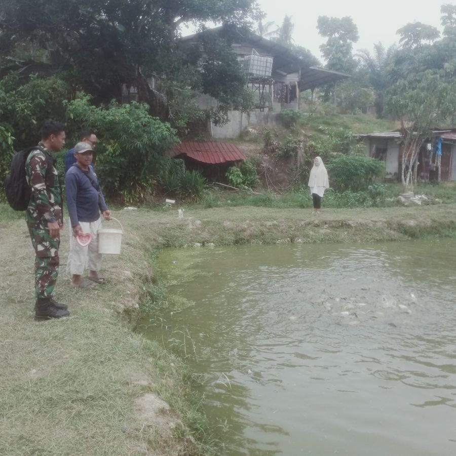 Dukung Ketahanan Pangan dan Ekonomi Warga, Babinsa Sukajadi Tinjau Budi Daya Lele