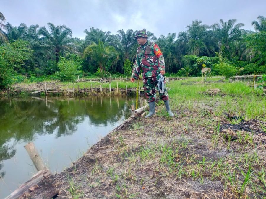 Dukung Ketahanan Pangan dan Lingkungan, Koptu Mukshin Khan Rawat Kolam dan Tanaman di Ecopark