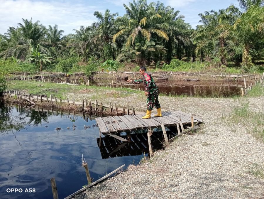 Dukung Ketahanan Pangan, Serda Z Panjaitan Rawat Kolam Ikan di Lokasi Demplot Ecopark