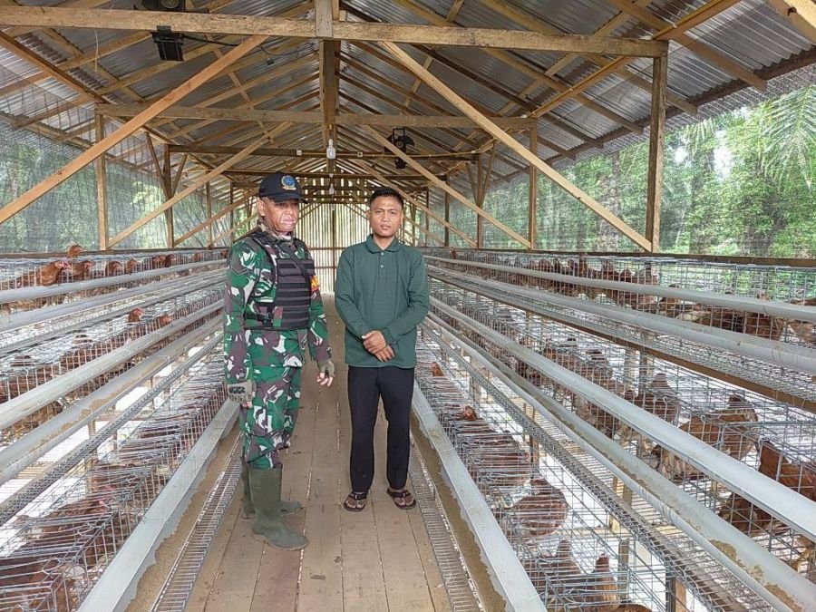 Dukung Pelaku UMKM, Babinsa Koramil 16/Tapung Anjangsana di Peternakan Ayam Petelur