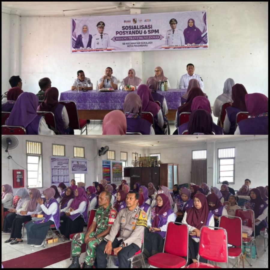 Dukung Pelayanan Masyarakat, Babinsa Hadiri Sosialisasi Posyandu 6 SPM