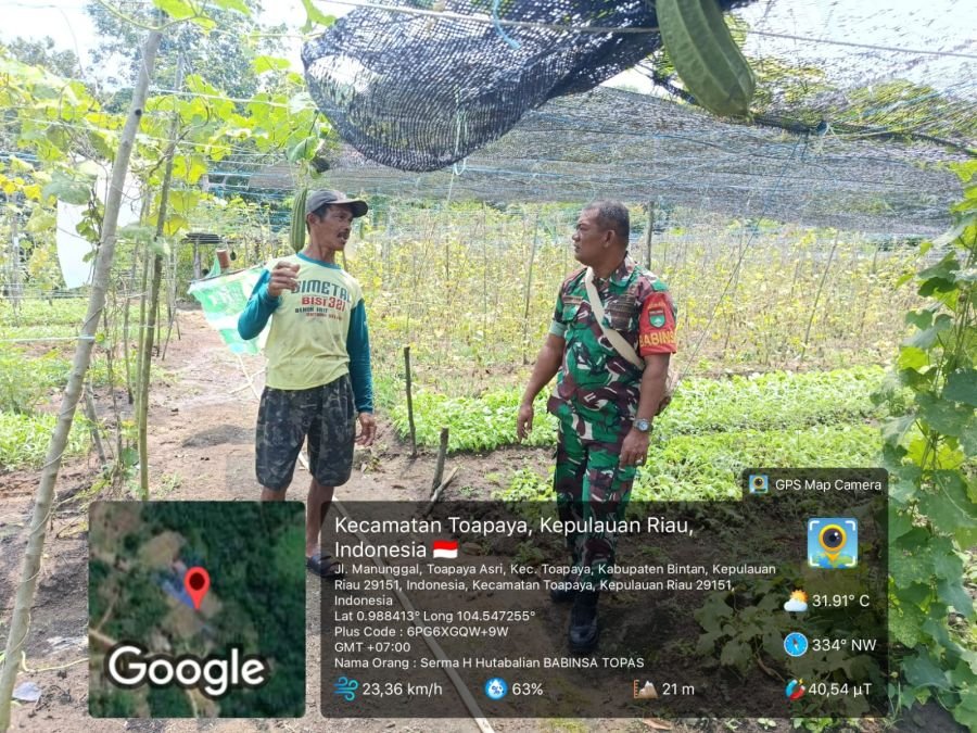 Dukung Produktivitas Pertanian, Babinsa Toapaya Asri Sampaikan Himbauan kepada Kelompok Tani