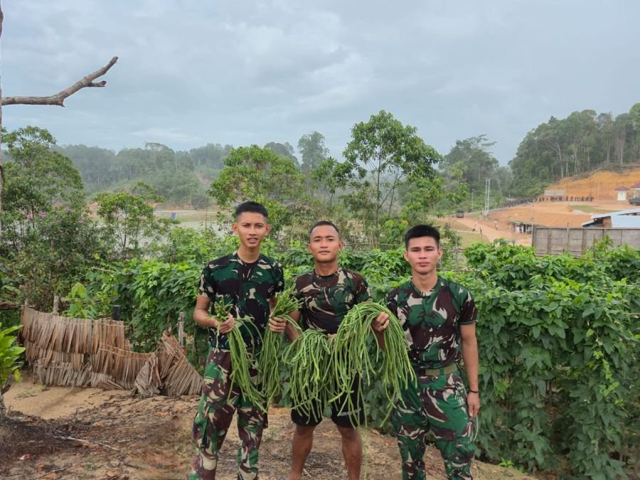 Dukung Program Presiden Prabowo, Kompi Senapan B Yonif 849 Panen Sayur Bersama
