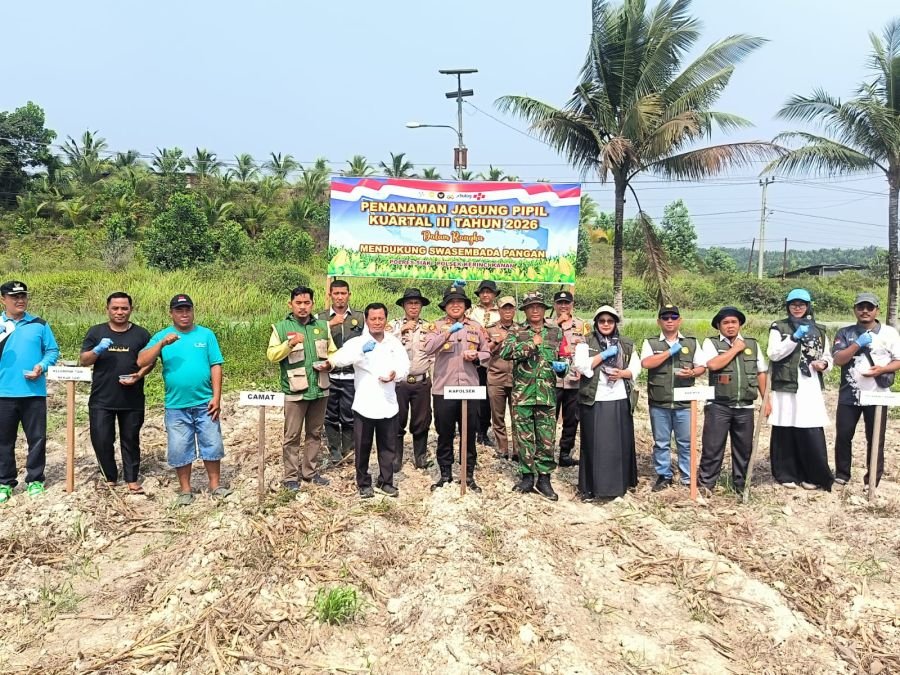 Dukung Swasembada Pangan, Polsek Kerinci Kanan dan TNI Tanam Jagung Kuartal III 2026 di Siak