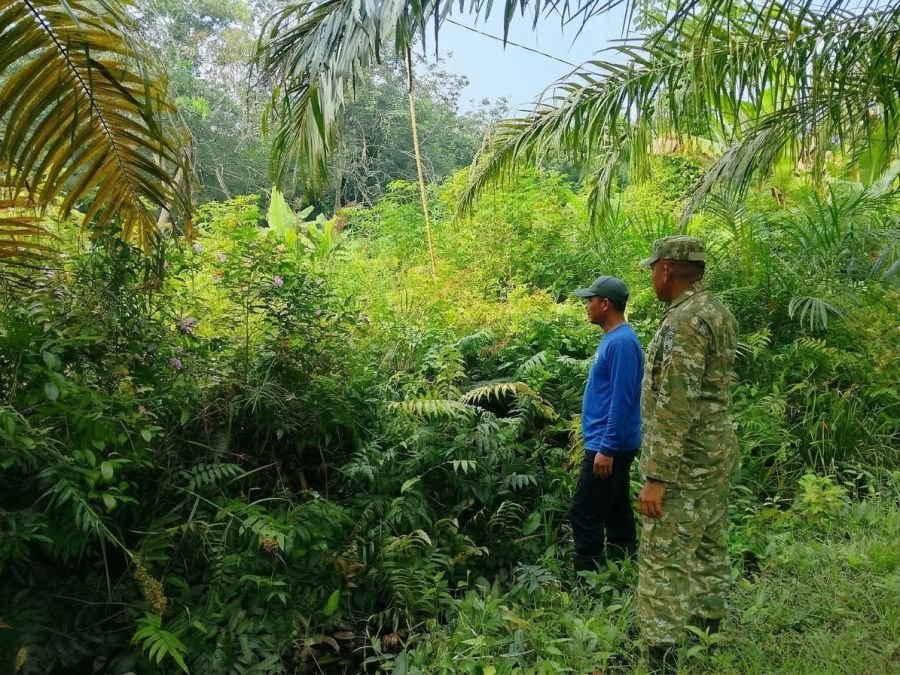 Garda Terdepan Cegah Karhutla: Babinsa Koramil 04/Rupat Tekan Risiko Bencana Asap di Pangkalan Pinan