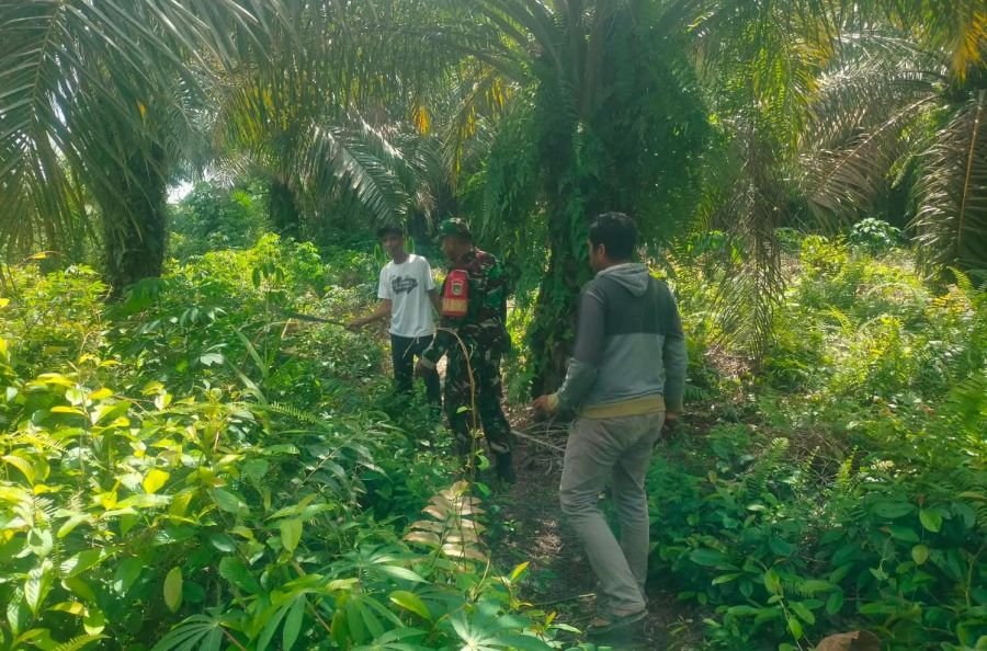 Garda Terdepan Cegah Karhutla, Kopda Tarigan dan Warga Teluk Lecah Terus Gencarkan Patroli