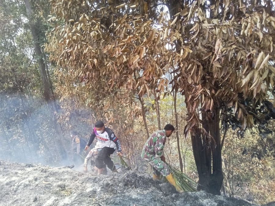 Gerak Cepat Babinsa 09/Kemuning, Pemadaman Karhutla di Keritang Hulu Berhasil Dipadamkan