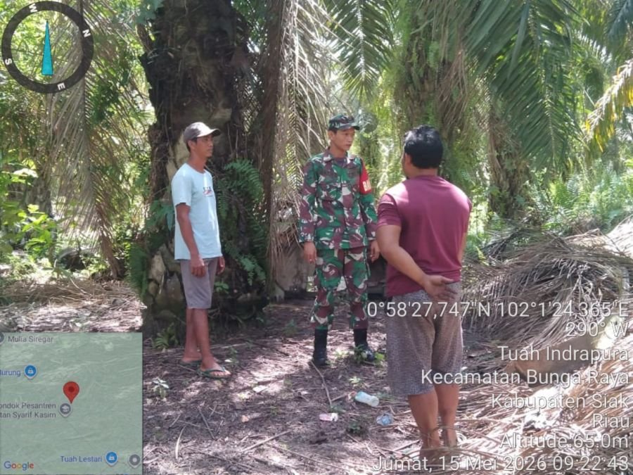 Gerak Cepat Babinsa Koramil 06/PWK Sabak Auh, Tuah Indrapura Tetap Steril dari Karhutla