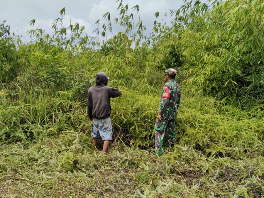Gerak Cepat Cegah Karhutla! Babinsa Okura dan MPA Sisir Daerah Rawan, Titik Api Nihil