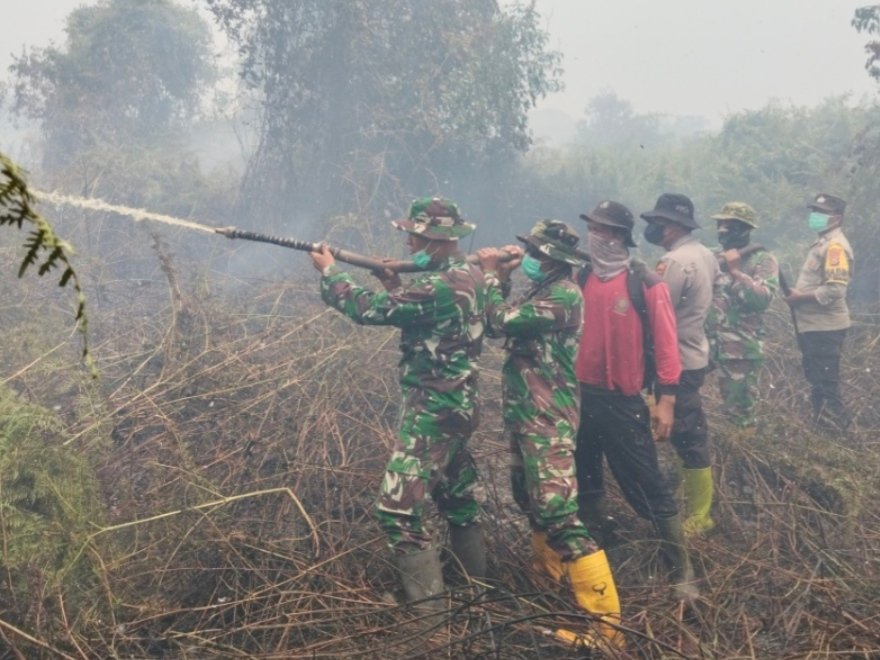 Gerak Cepat, Tim Gabungan Berhasil Sekat Kepala Api Karhutla di Bantaian Baru
