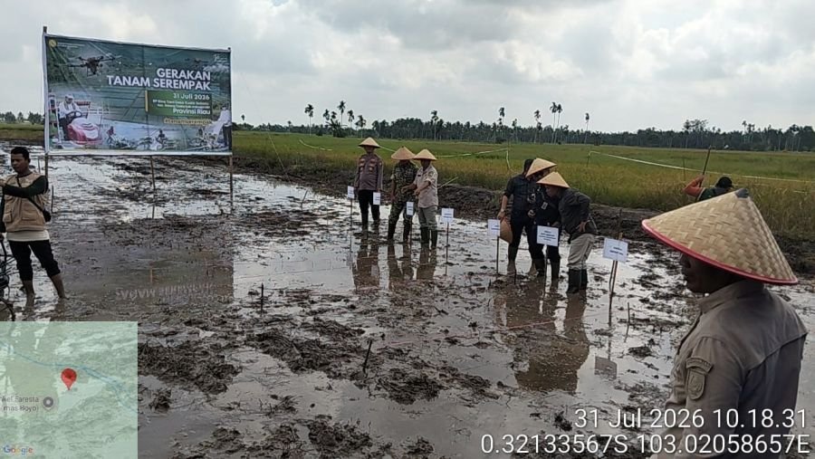 Gerakan Tanam Padi Serentak Dukung Program Ketahanan Pangan Digelar di Desa Kuala Sebatu