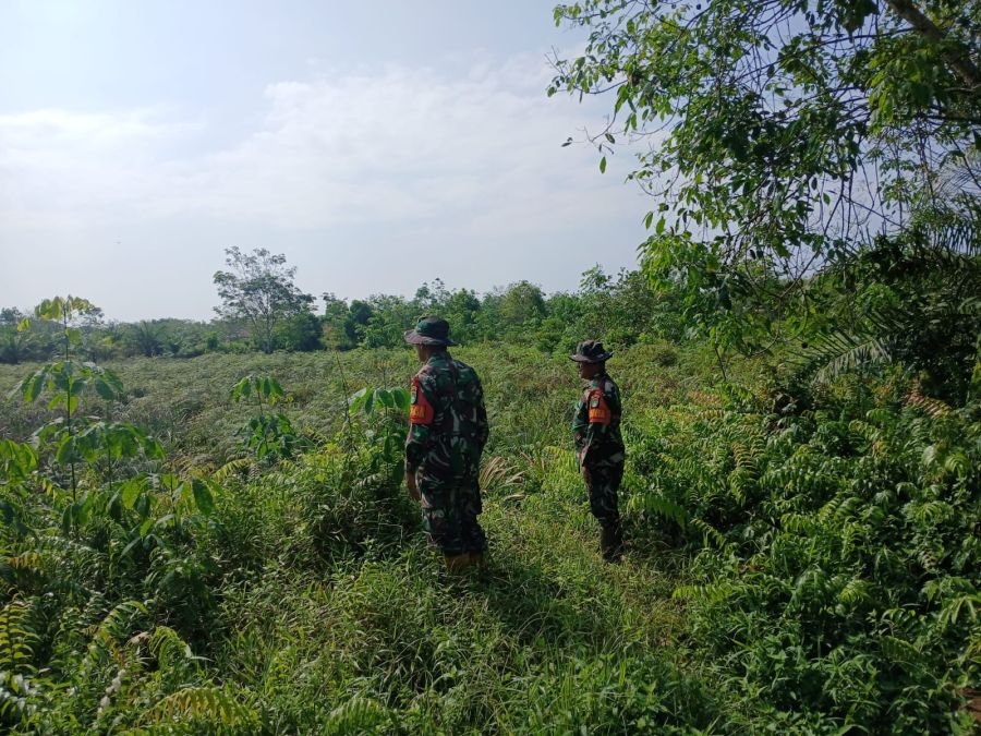 Giat Patroli Karhutla dan Karya Nyata Rutin Dilakukan Babinsa Koramil 07/Kampar.