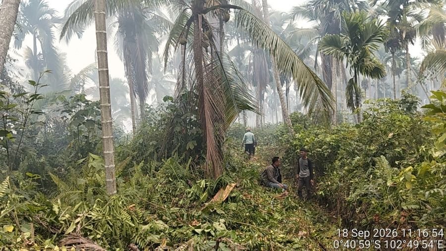 Hari Ke-4 Koramil 09/Kemuning Berjibaku Padamkan Api di Lahan Gambut 13 Ha di Desa Kuala Lemang