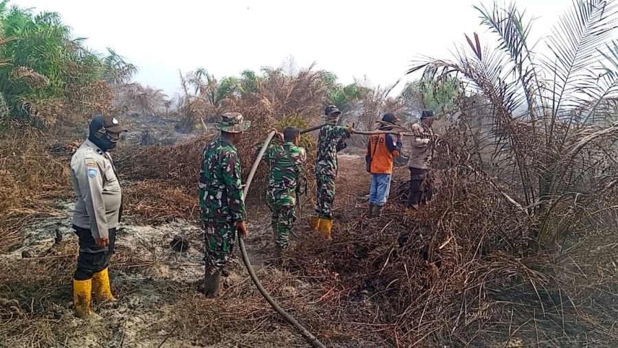 Hari Ke-6, Tim Gabungan Koramil 01/Bangko Fokus Pendinginan Lahan Gambut Sawit di Bagan Punak