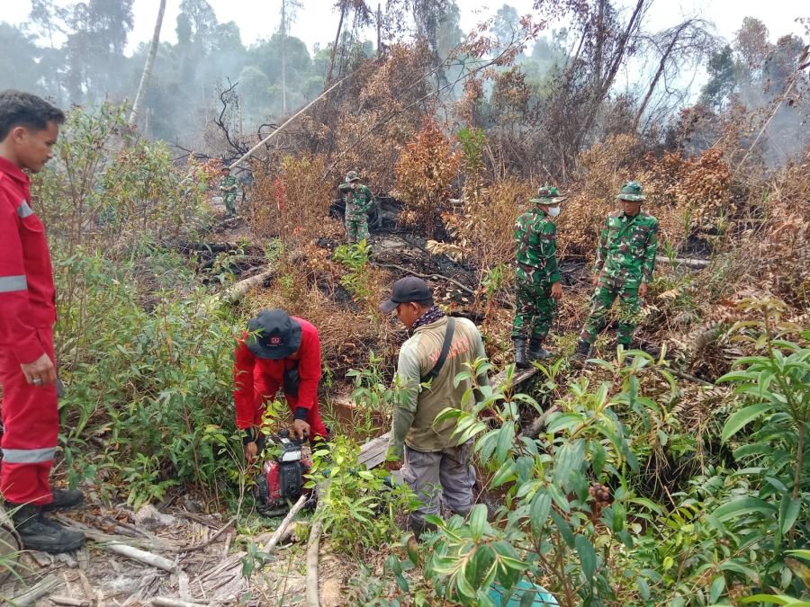 Hari Ke-7 Penanganan Karhutla di Tasik Serai Timur: 9,5 Hektar Berhasil Dipadamkan, Sisa 0,5 Hektar