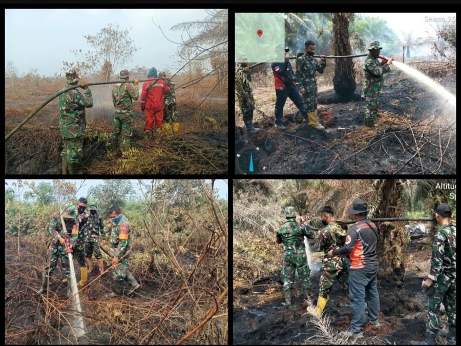 Hari Kedua Penanggulangan Karhutla: Satu Lokasi Berhasil Dipadamkan Total,Dua Lainnya Masih Berjuang