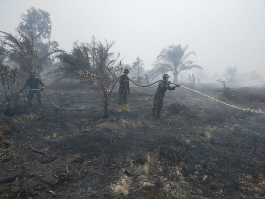 Hari Keempat Penanganan Karhutla, Tim Gabungan Padamkan dan Dinginkan Lahan Gambut di Bangsal Aceh