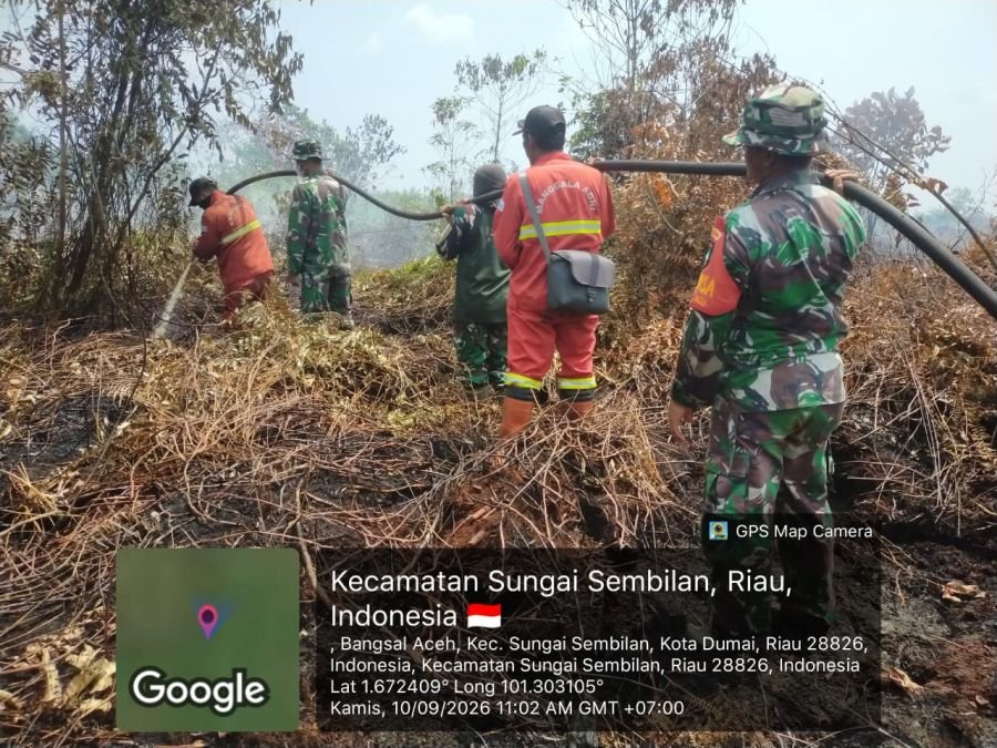 Hari Keenam Penanganan Karhutla, Tim Gabungan Terus Lakukan Pendinginan di Bangsal Aceh Dumai