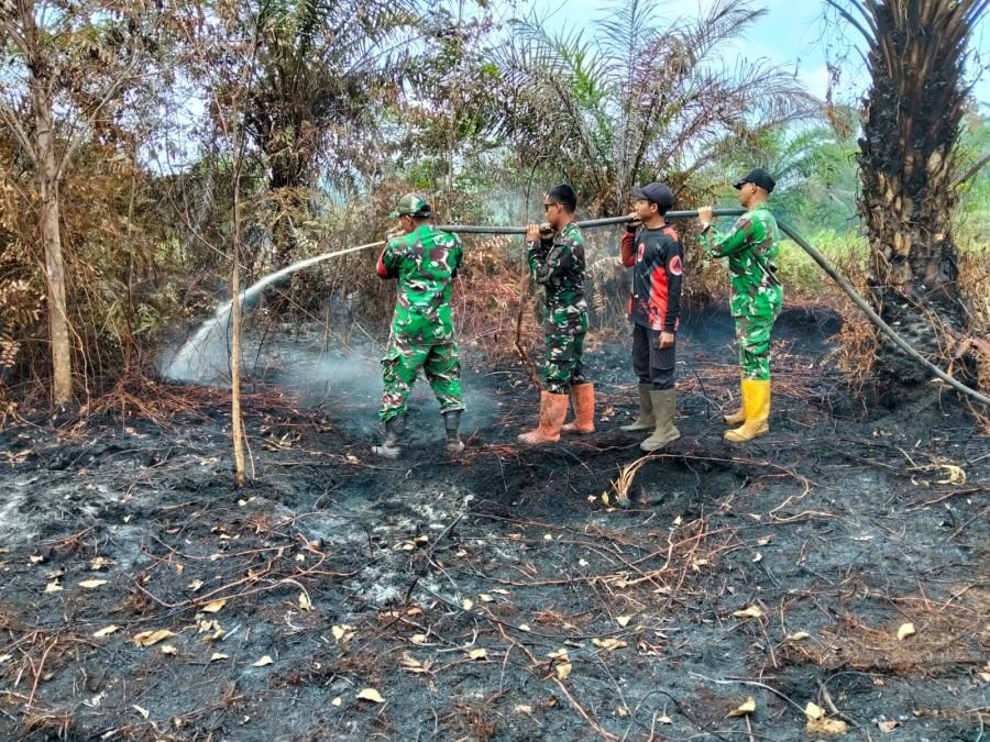 Hari Kelima Pemadaman Karhutla di Pangkalan Libut, Seluruh 4 Hektare Berhasil Dipadamkan